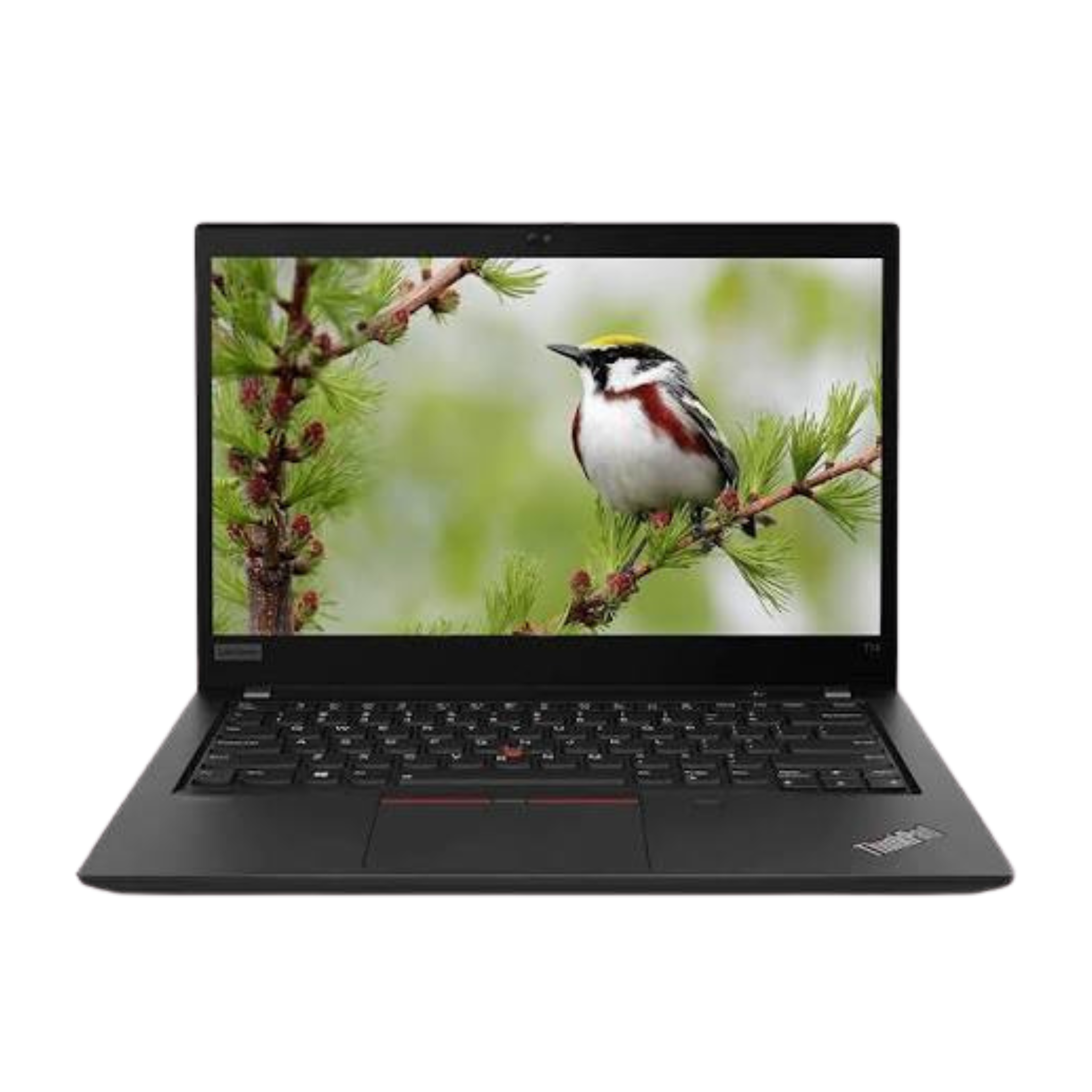 Lenovo Thinkpad T14 Gen 2 - Ryzen 5 5500 - 16GB RAM - 256GB NVME - Grade AB